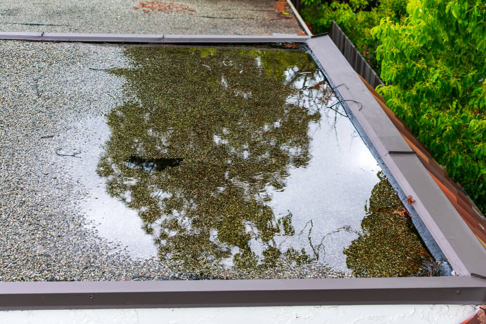 flat roofs
