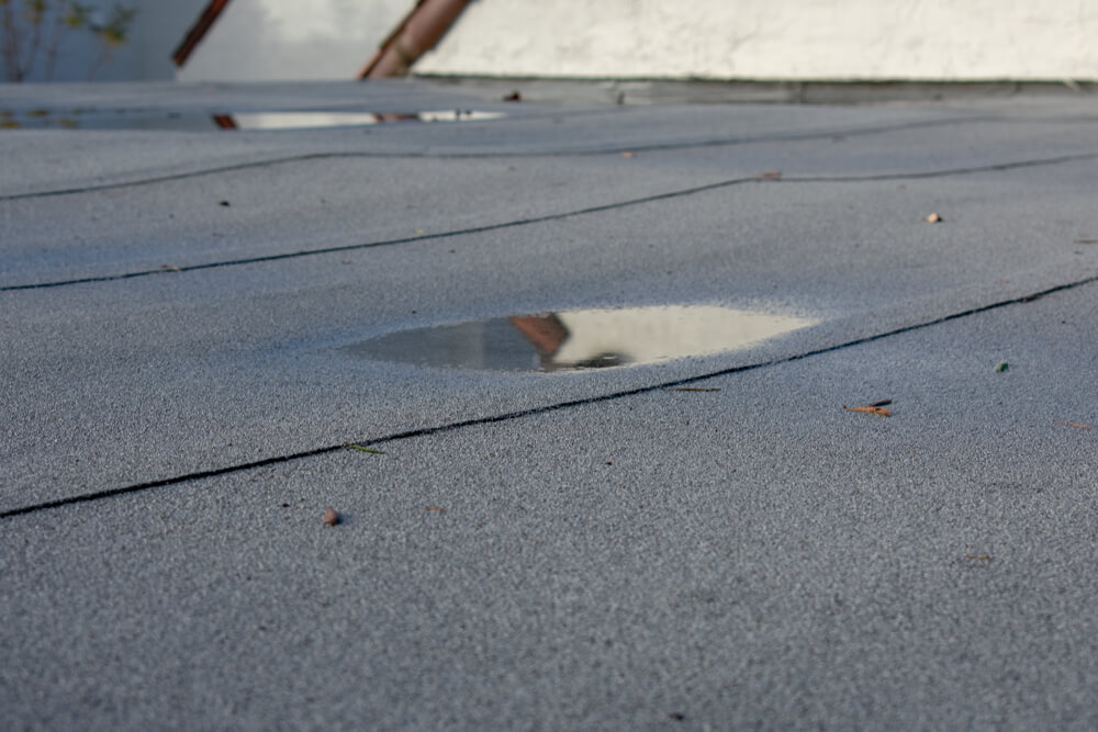 Ponding Water on Flat Roofs: Causes, Prevention & Best Fixes