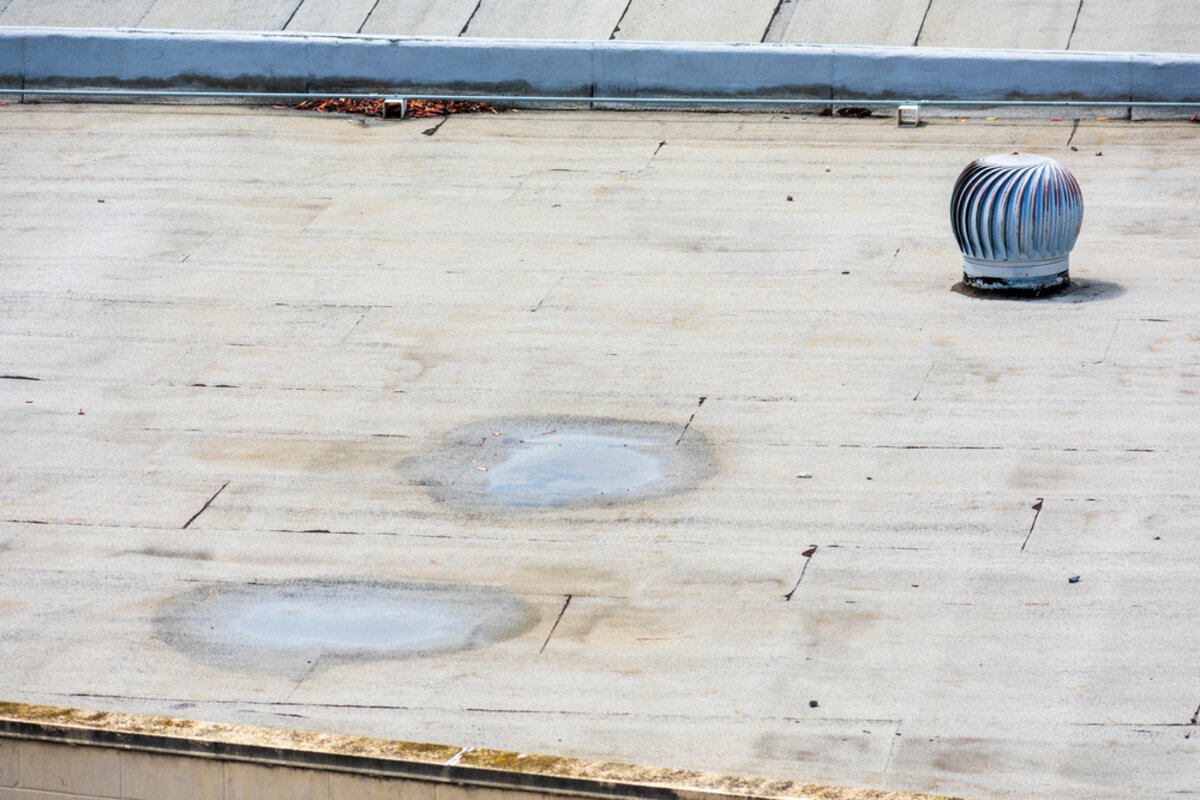 Ponding Water on Flat Roofs: Causes, Prevention & Best Fixes
