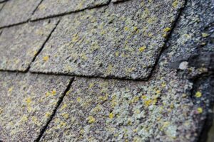 Why Impact-Resistant Shingles Are the Best Upgrade for Ohio’s Weather